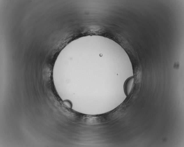 X0000115110472200911171309