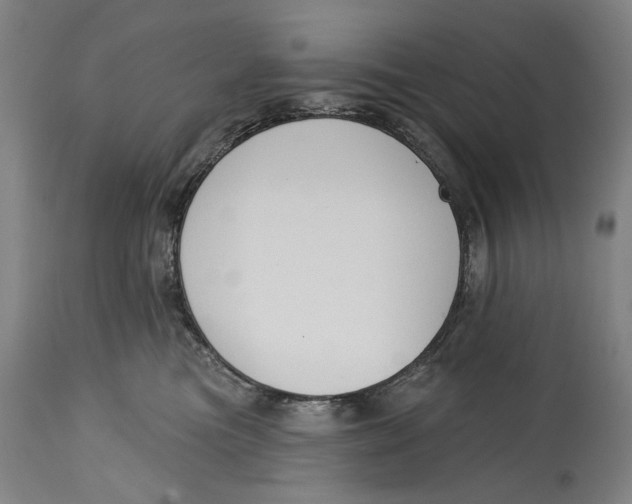 X0000115110473200911171309