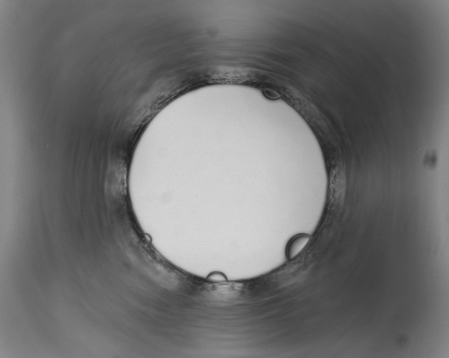 X0000115110474200911171309