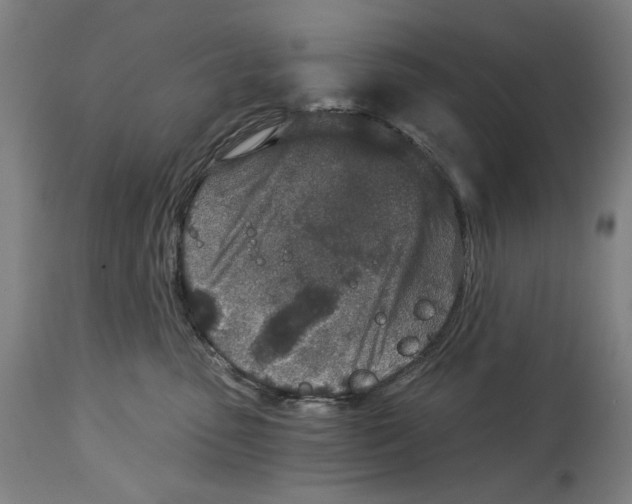 X0000115110475200911171309