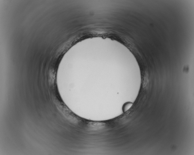 X0000115110476200911171309