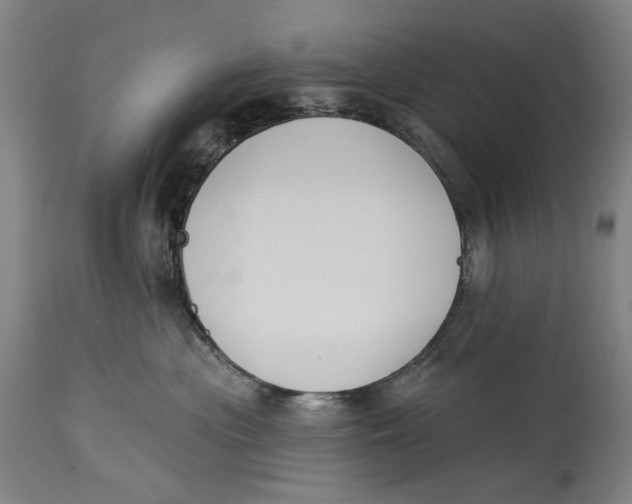 X0000115110477200911171309