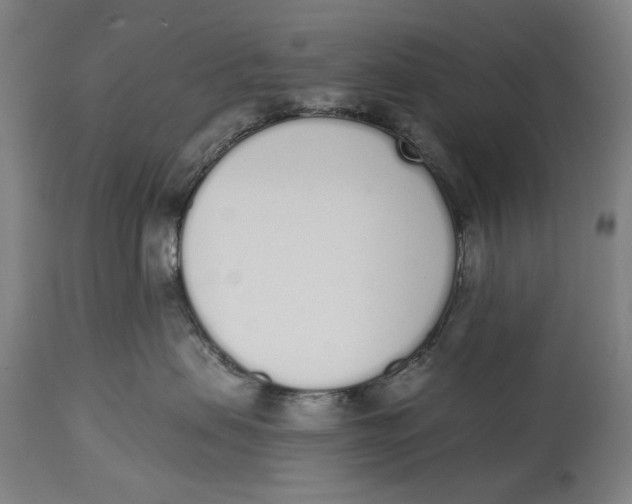 X0000115110479200911171309