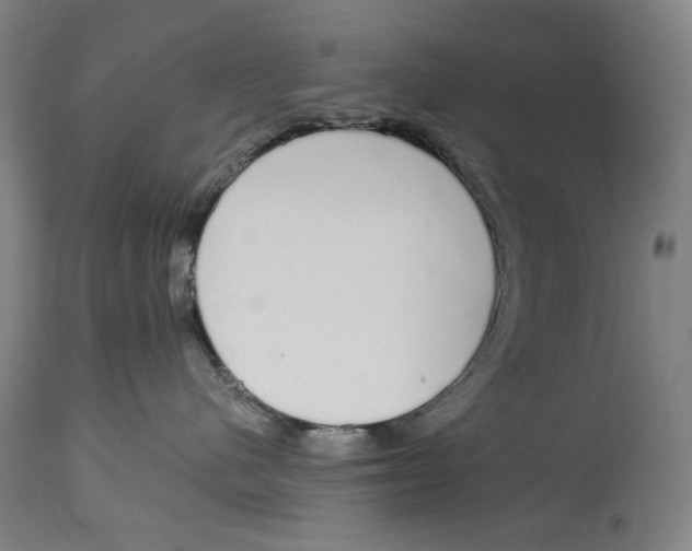 X0000115110480200911171309