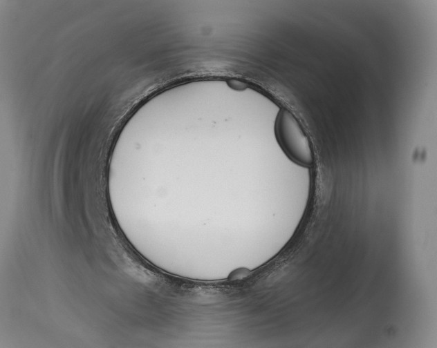 X0000115110481200911171309