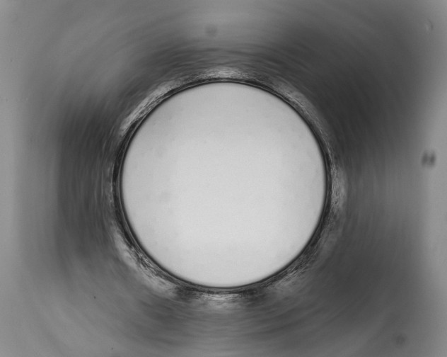 X0000115110482200911171309