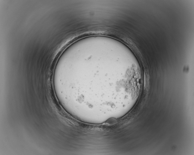 X0000115110483200911171309