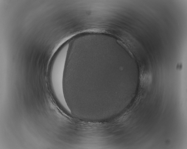 X0000115110484200911171309