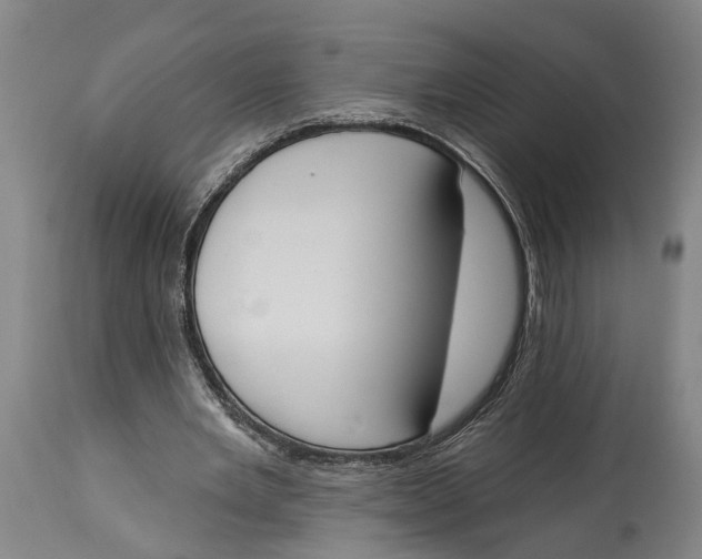 X0000115110485200911171309