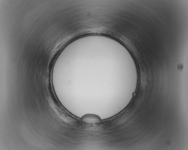 X0000115110486200911171309