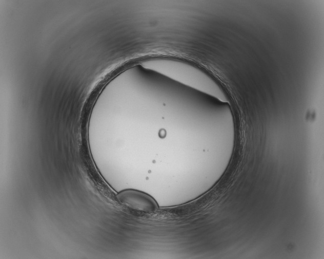 X0000115110488200911171309