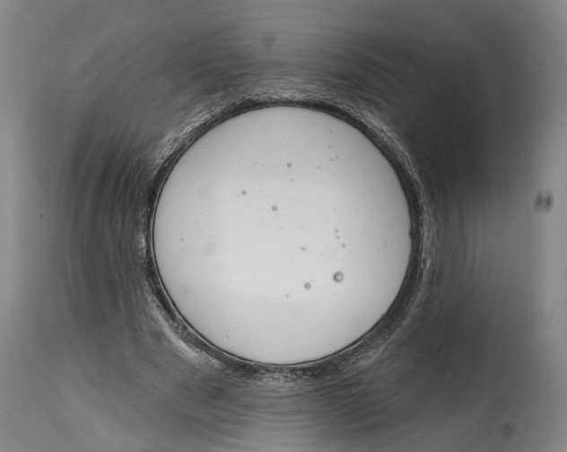 X0000115110489200911171309