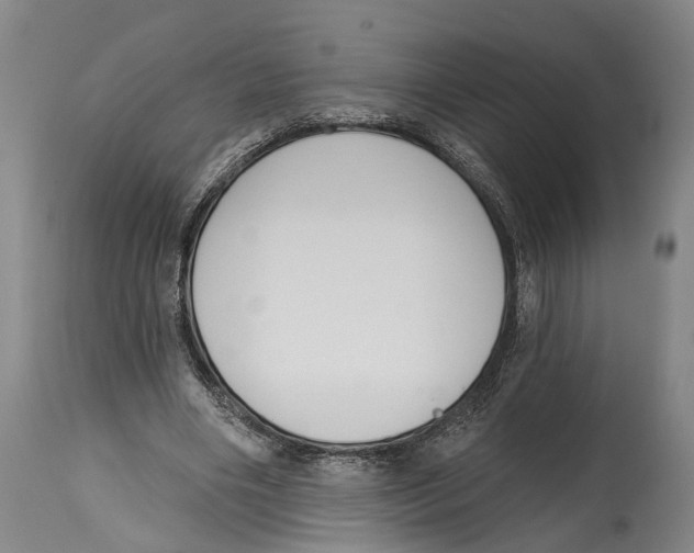 X0000115110490200911171309