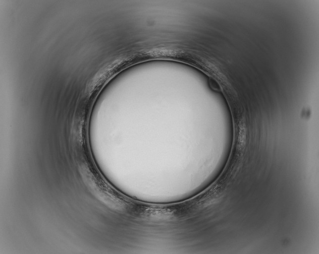 X0000115110491200911171309