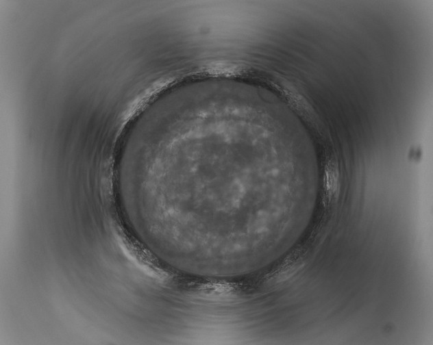 X0000115110492200911171309