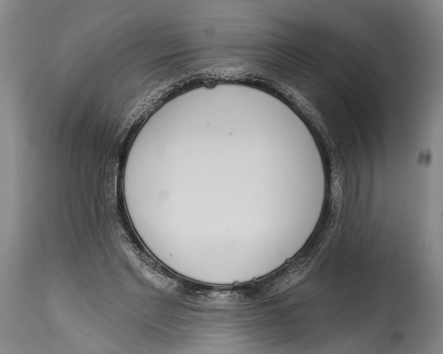 X0000115110493200911171308