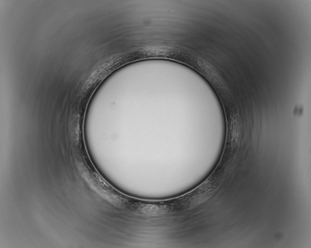 X0000115110494200911171308