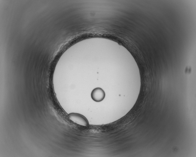 X0000115110496200911171308