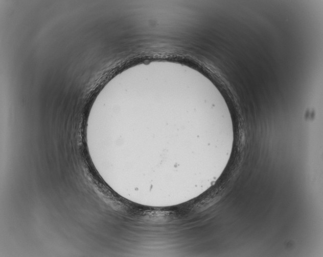 X0000115110497200911171308