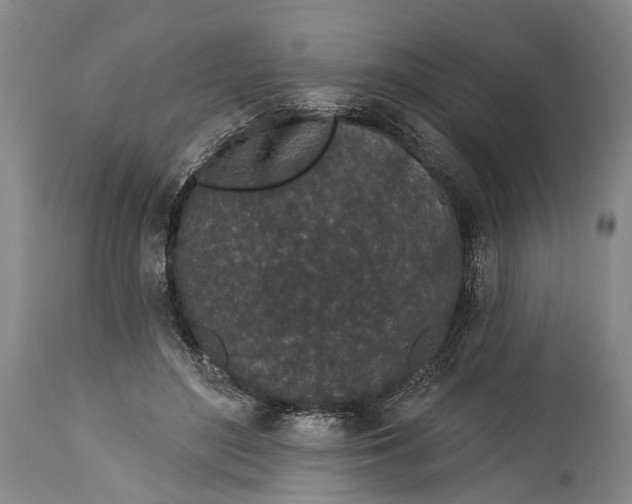 X0000115110500200911171308