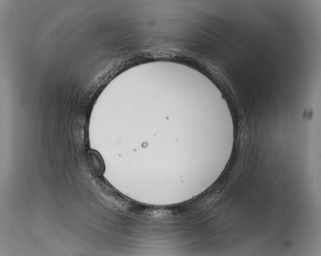 X0000115110501200911171308