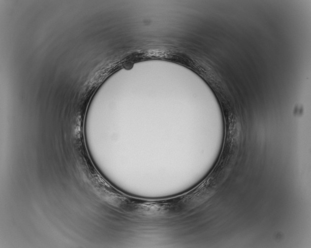 X0000115110502200911171308