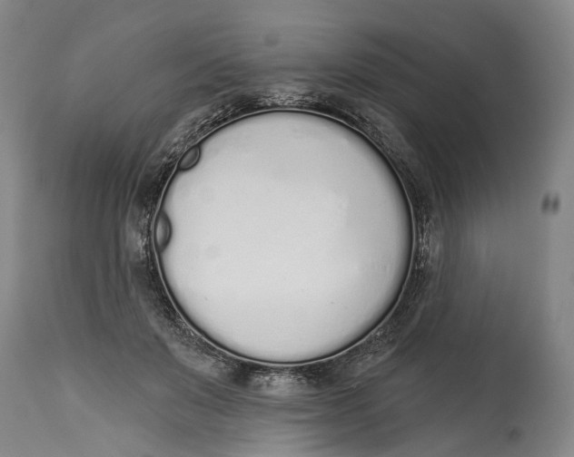 X0000115110503200911171308