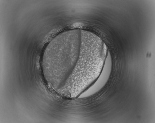 X0000115110504200911171308