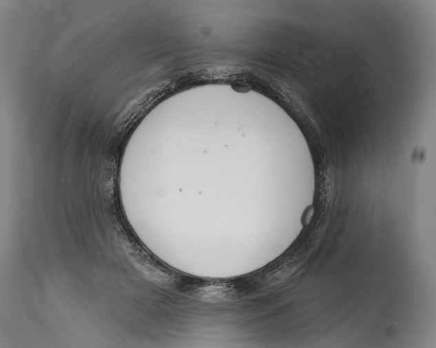 X0000115110505200911171308