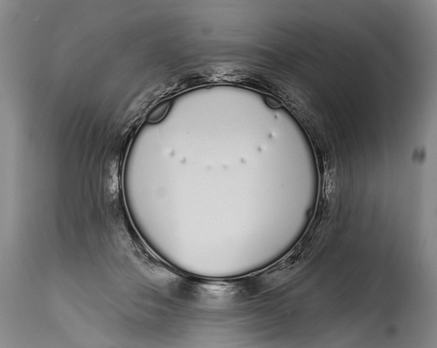 X0000115110506200911171308