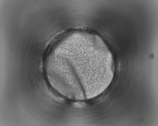 X0000115110508200911171308