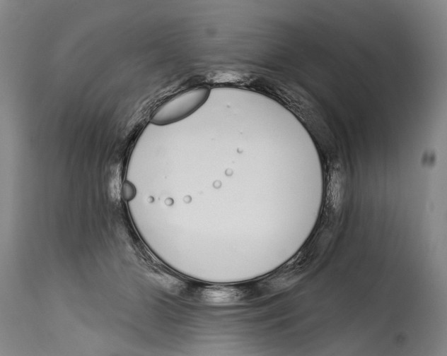 X0000115110510200911171308