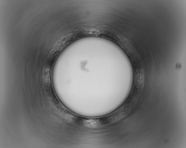 X0000115110511200911171308
