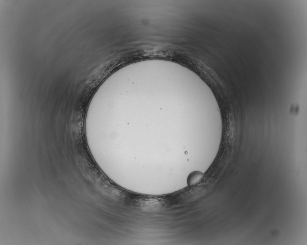X0000115110513200911171308