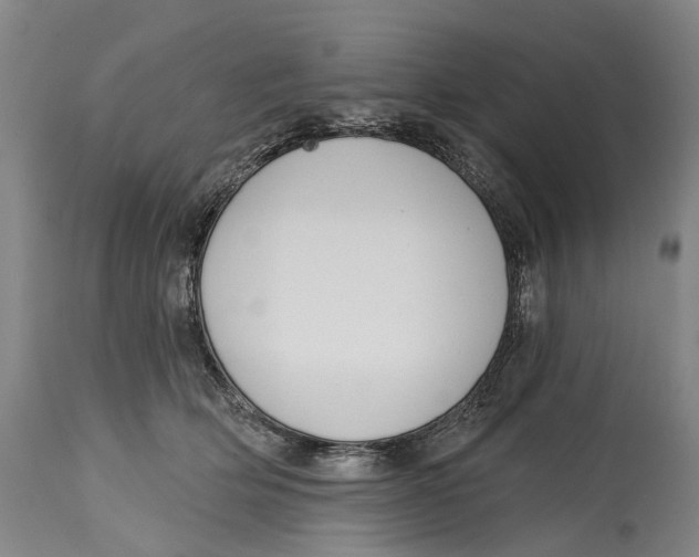 X0000115110514200911171308