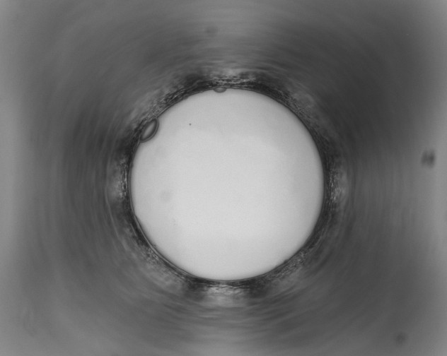 X0000115110515200911171308