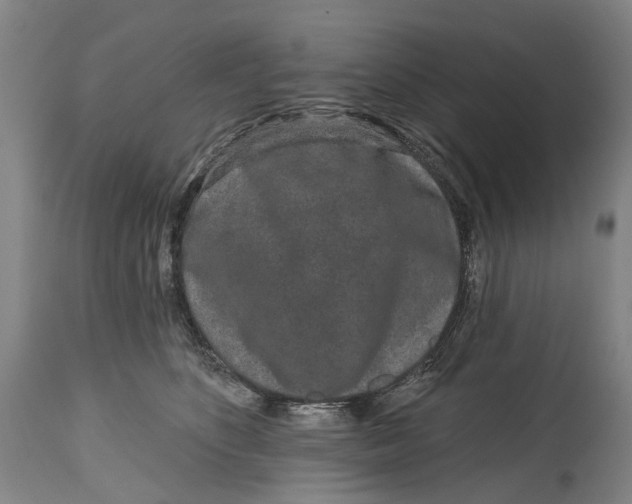 X0000115110516200911171308