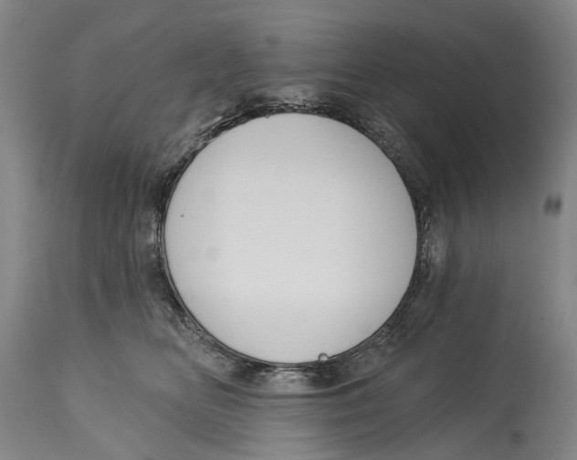 X0000115110518200911171308