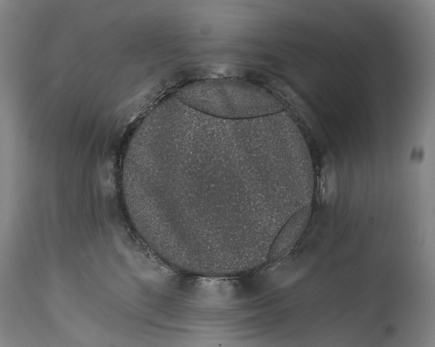 X0000115110520200911171308