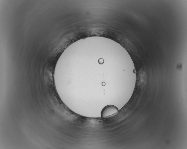 X0000115110522200911171308
