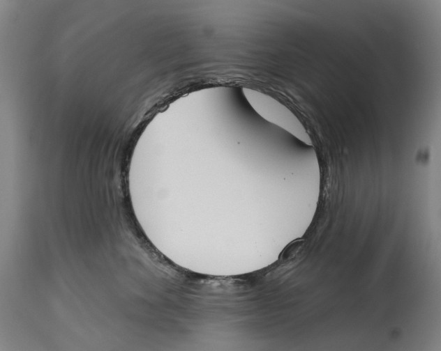 X0000115110524200911171308