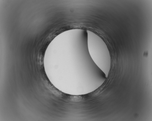 X0000115110525200911171308