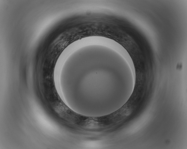 X0000115110526200911171308
