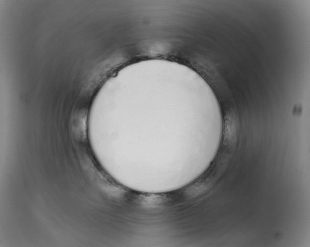X0000115110527200911171308