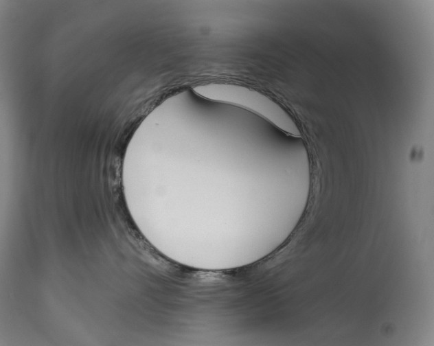 X0000115110528200911171308