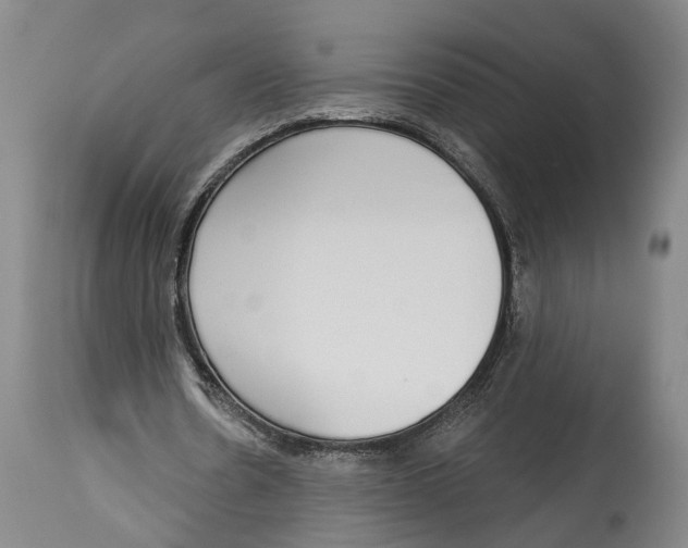 X0000115110530200911171307