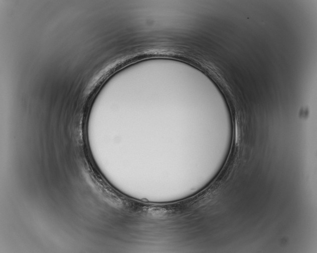 X0000115110531200911171307