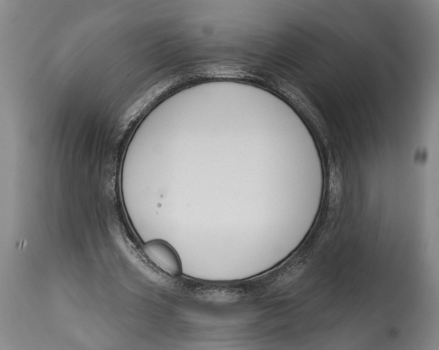 X0000115110533200911171307