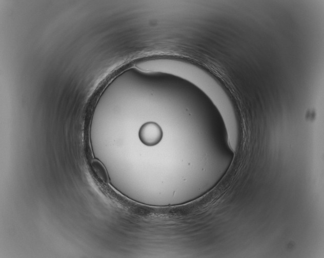 X0000115110534200911171307