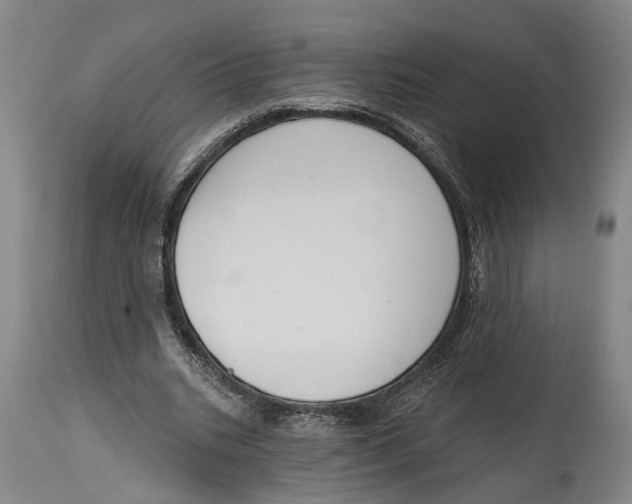 X0000115110535200911171307